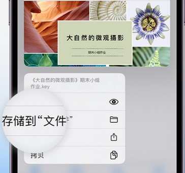 渑池apple维修中心分享iPhone文件应用中存储和找到下载文件