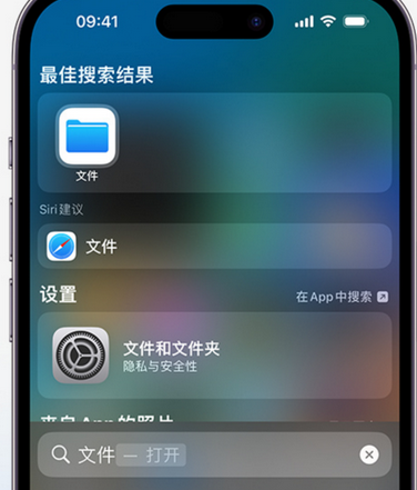 渑池apple维修中心分享iPhone文件应用中存储和找到下载文件 