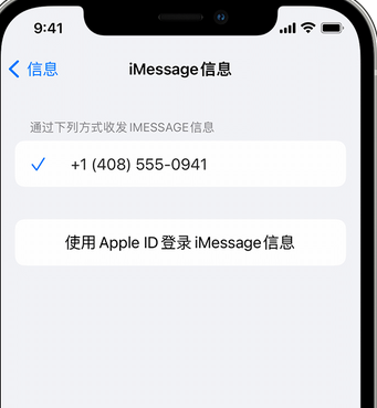 渑池apple维修iPhone上无法正常发送iMessage信息 