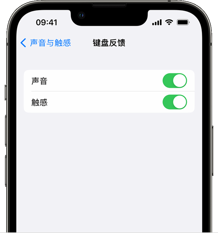 渑池苹果14维修店分享如何在 iPhone 14 机型中使用触感键盘 