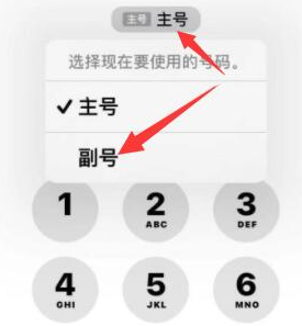 渑池苹果14维修店分享iPhone 14 Pro Max使用副卡打电话的方法 