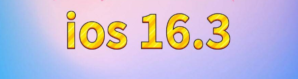 渑池苹果服务网点分享苹果iOS16.3升级反馈汇总 