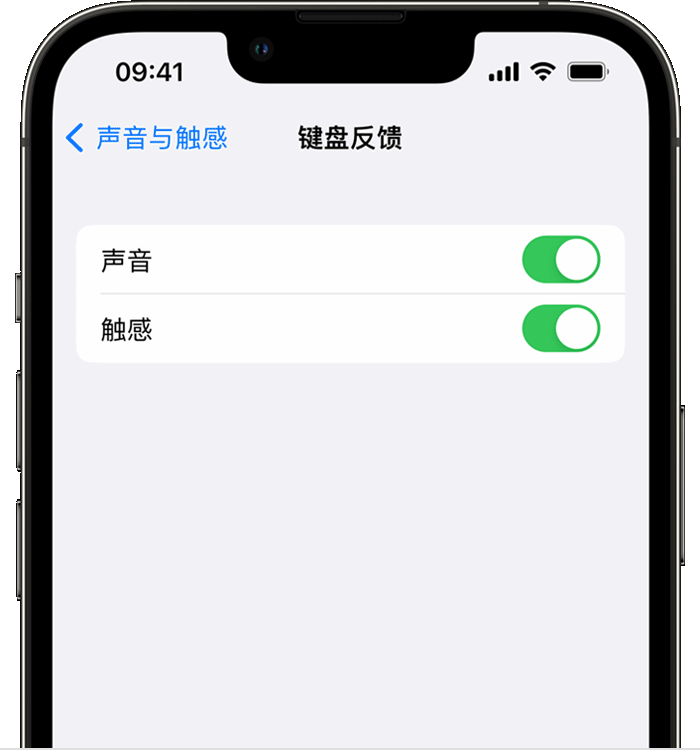 渑池苹果14维修分享iPhone 14 系列机型如何开启键盘声音或触感反馈 