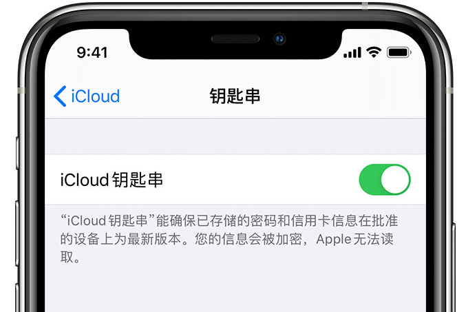 渑池苹果手机维修分享在 iPhone 上开启 iCloud 钥匙串之后会储存哪些信息 