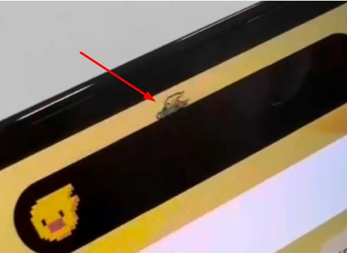 渑池苹果14维修分享iPhone 14 Pro Max灵动岛怎么养宠物 
