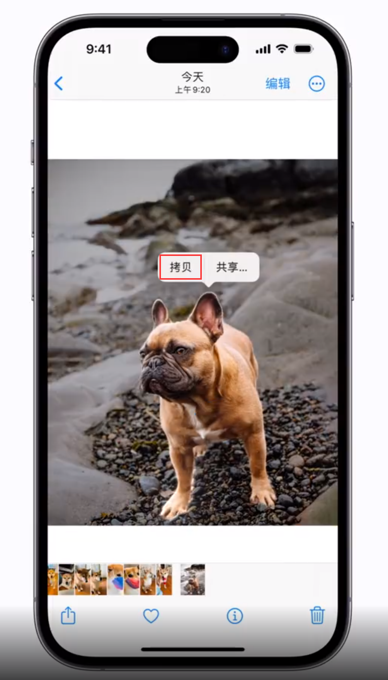 渑池苹果手机维修分享 iOS 16 自带一键抠图功能 