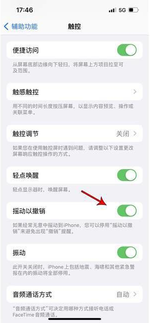 渑池苹果手机维修分享iPhone手机如何设置摇一摇删除文字 