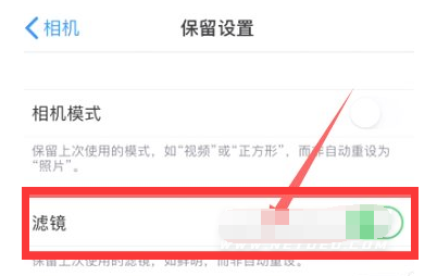 渑池苹果13维修分享iPhone13拍照有绿点是怎么回事 
