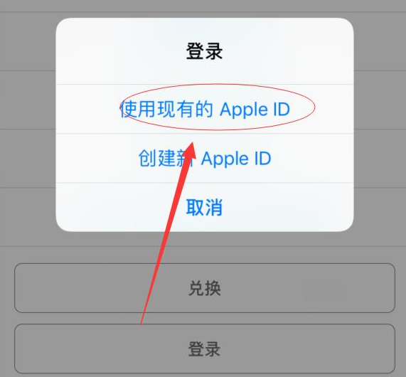渑池苹果手机维修分享两台iPhone设备可以同时登录一个Apple ID吗 
