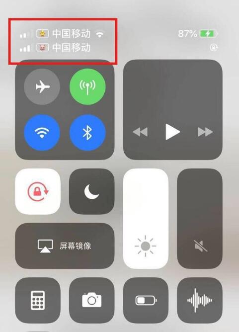 渑池苹果手机维修分享为 iPhone 12 双卡设置标签 